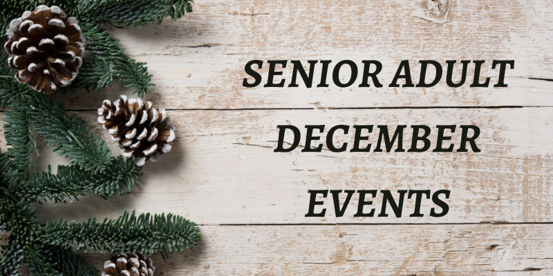 Senior Adults Winter Events (800 × 400 px)
