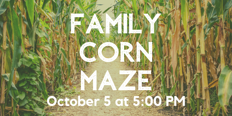 Family Corn Maze 800 x 400