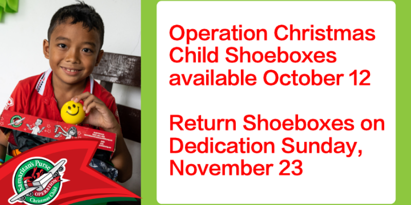 OCC Shoebox web
