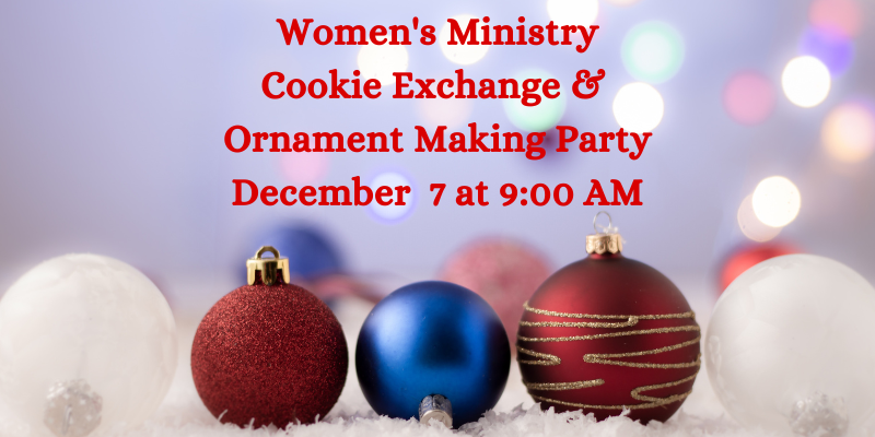 Women's Ministry Christmas (800 × 400 px)