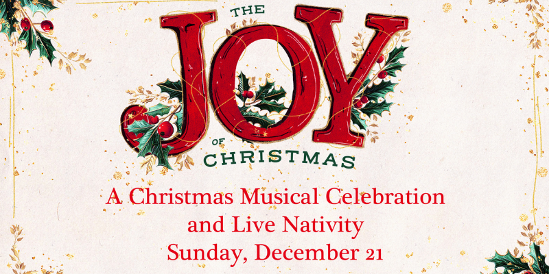 Joy Of Christmas (800 x 400 px)