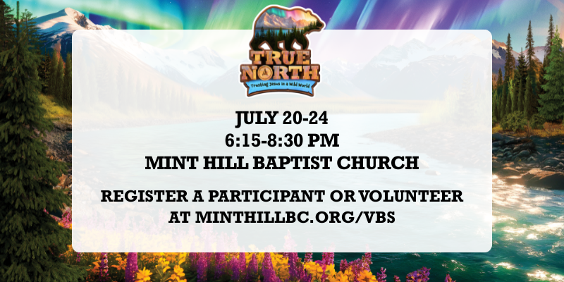 VBS 2025 (800 x 400 px) VBS 2025 (800 x 400 px)
