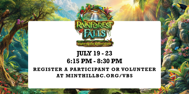 VBS Promo NO QR (800 x 400 px)